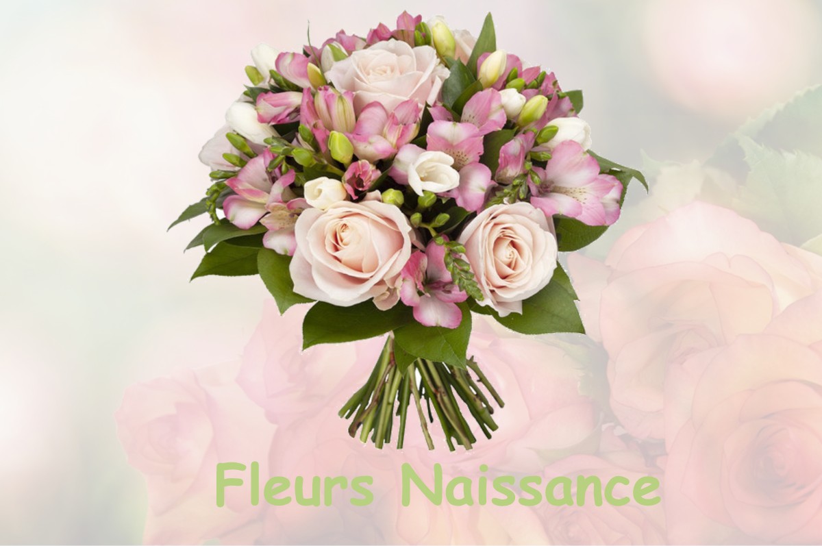 fleurs naissance MAUZAC-ET-GRAND-CASTANG